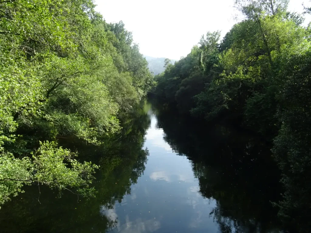 Río Tea. Mondariz