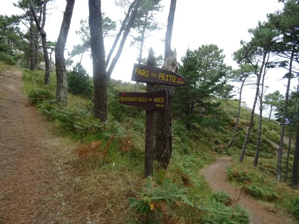Señales de ruta en las Islas Cíes