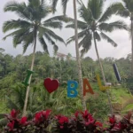 I love Bali