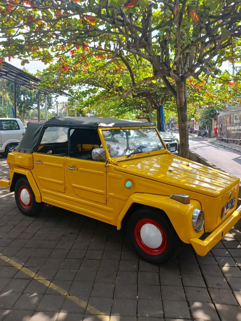 VW Bali Safari Trans