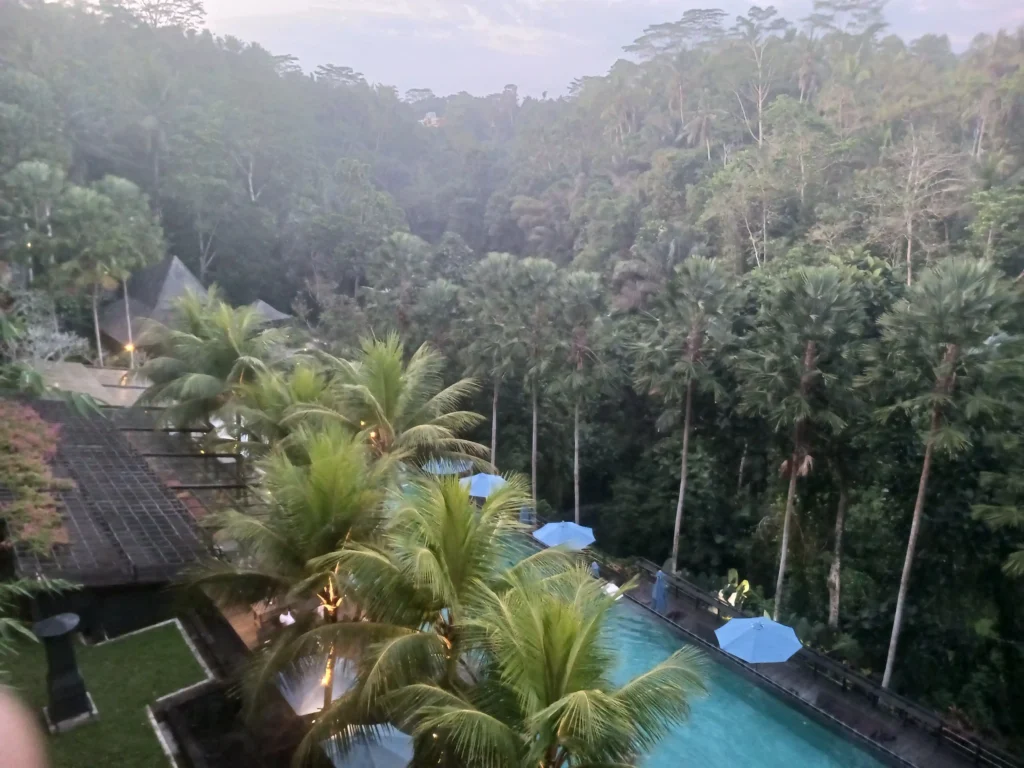 vista Jungle Fish