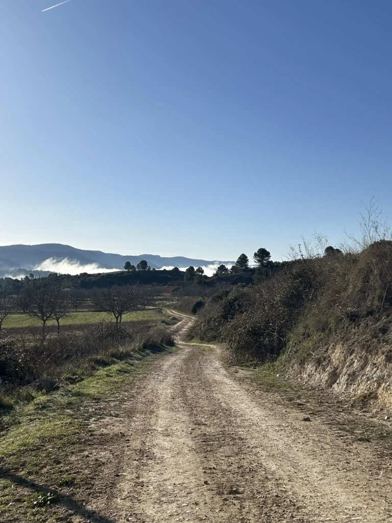 Camino de Entrepeñas a Auñón
