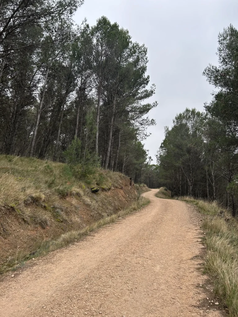 camino de subida a la Peña Hueva