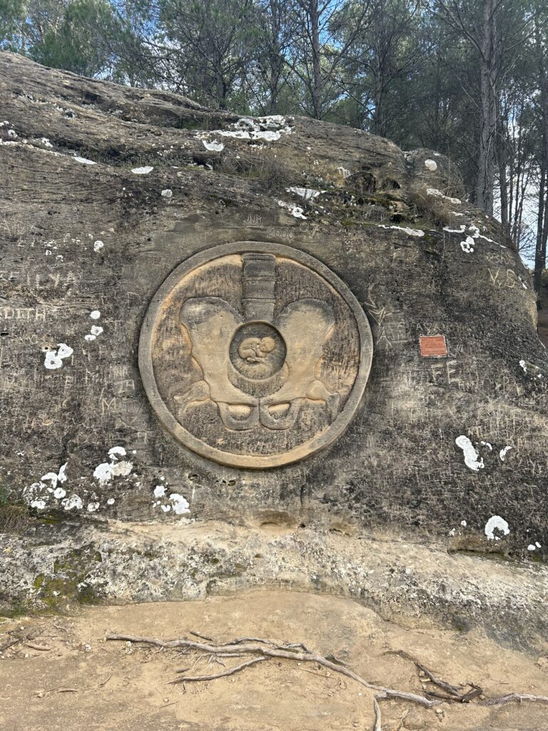 Moneda pelvis