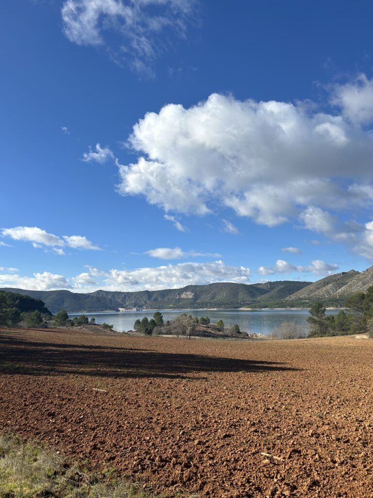 Vistas de pantano