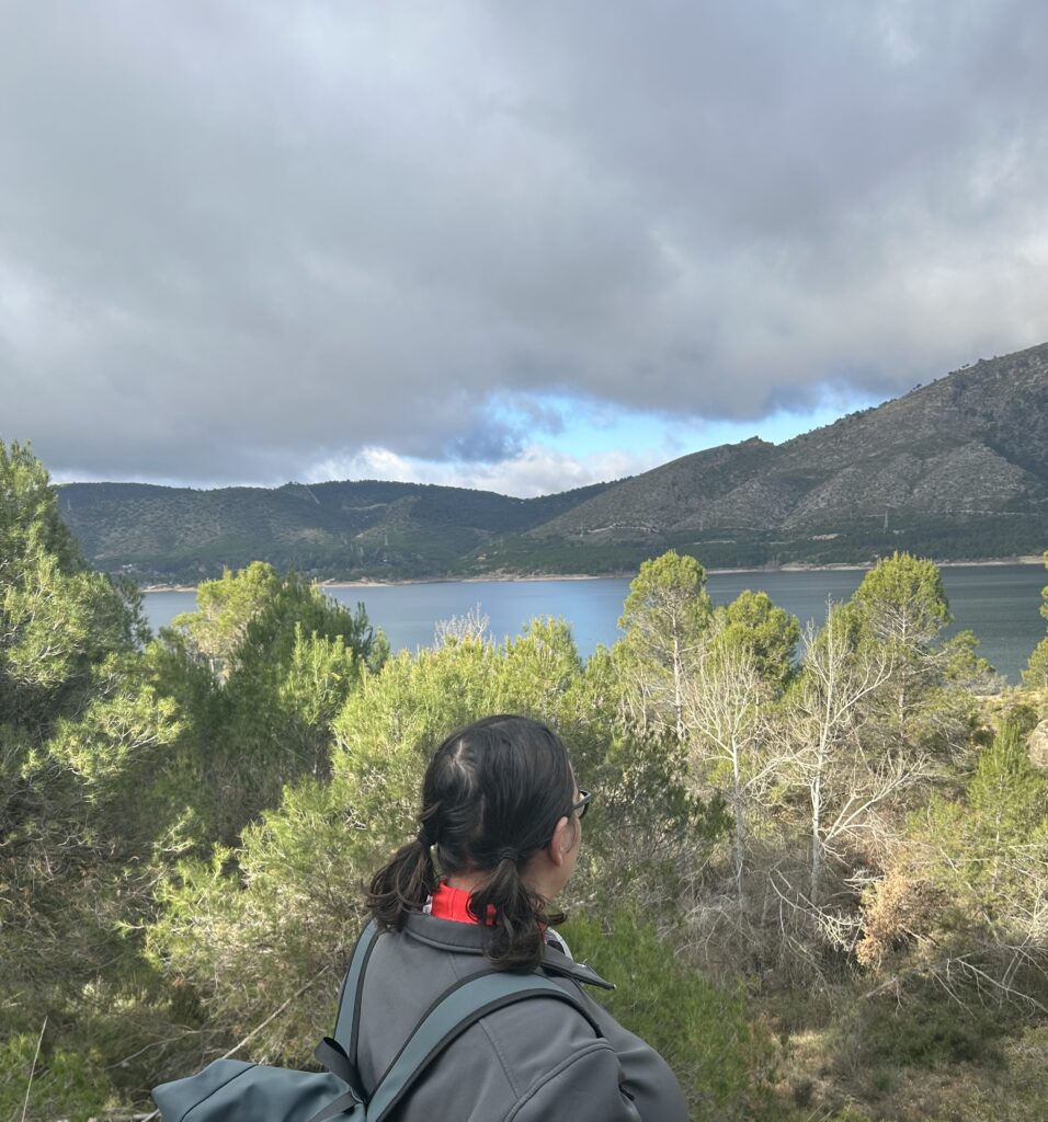 Vista del pantano de Buendía