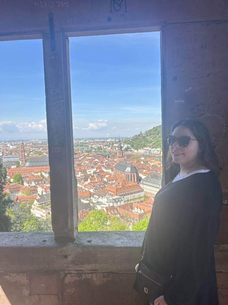 Vista desde el castillo de Heidelberg